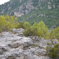 Photo de France - Le Cirque de Mourèze et le Lac du Salagou